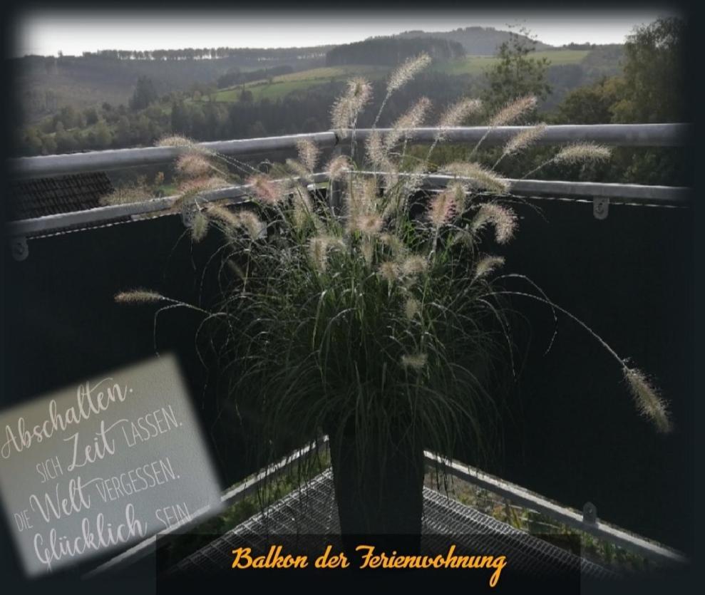 Apartamento Waldglück Familie Brüning Bad Berleburg Exterior foto